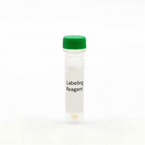 SSNPGRNZ | SNAP-Tag, Clip-Tag, and HALO-Tag are protein labeling systems enabling the covalent attachement of fluorophores onto proteins of interest. SNAP-Green enables SNAP-tagged proteins to become labeled with a green fluorophore.