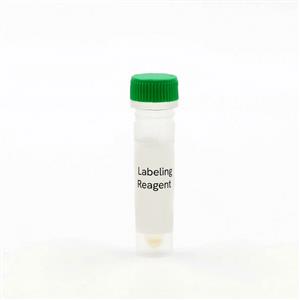 SSNPGRNZ | SNAP-Tag, Clip-Tag, and HALO-Tag are protein labeling systems enabling the covalent attachement of fluorophores onto proteins of interest. SNAP-Green enables SNAP-tagged proteins to become labeled with a green fluorophore.