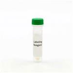 SSNPGRNZ | SNAP-Tag, Clip-Tag, and HALO-Tag are protein labeling systems enabling the covalent attachement of fluorophores onto proteins of interest. SNAP-Green enables SNAP-tagged proteins to become labeled with a green fluorophore.