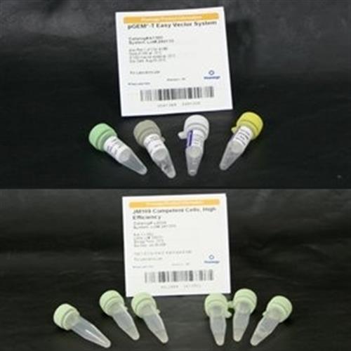 A1380 | pGEM(R)-T Easy Vector System II