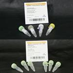 A1380 | pGEM(R)-T Easy Vector System II