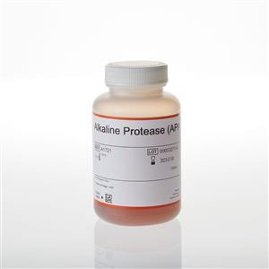 A1721 | Alkaline Protease (APA)