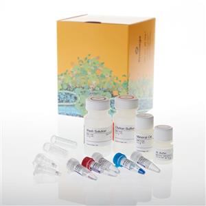 A2351 | ReliaPrep(TM) FFPE gDNA Miniprep System