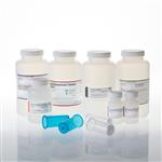A2393 | PureYield(TM) Plasmid Maxiprep System