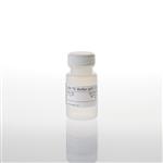 A2651 | 20X TE Buffer