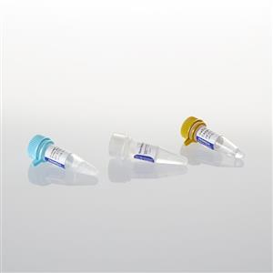 A2800 | GoScript Reverse Transcription Mix Rand