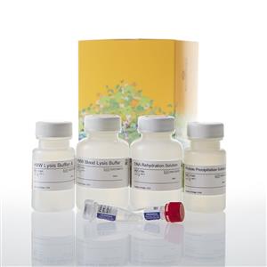 A2920 | Wizard(R) HMW DNA Extraction Kit