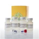 A2920 | Wizard HMW DNA Extraction Kit