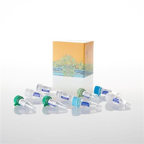 A5001 | GoScript(TM) Reverse Transcription System