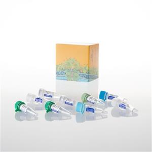 A5001 | GoScript(TM) Reverse Transcription System