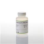 A5051 | Proteinase K (PK) Solution
