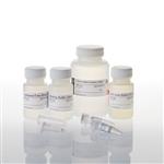 A5081 | ReliaPrep(TM) Blood gDNA Miniprep System
