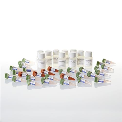 A6002 | GoTaq(R) qPCR Master Mix