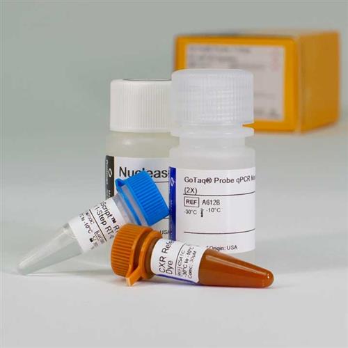 A6121 | GoTaq(R) Probe 1-Step RT-qPCR System