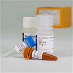 A6121 | GoTaq(R) Probe 1-Step RT-qPCR System