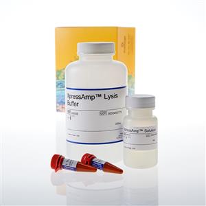 A8880 | XpressAmp(TM) Direct Amplification Reagents