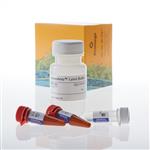 A8882 | XpressAmp(TM) Direct Amplification Reagents