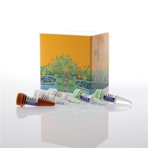 AM2000 | GoTaq(R) Enviro qPCR System