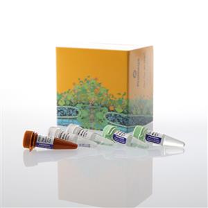 AM2000 | GoTaq(R) Enviro qPCR System