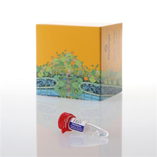 AM2050 | SARS-CoV-2 (N+E) RNA Quant Standard