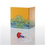 AM2050 | SARS-CoV-2 (N+E) RNA Quant Standard