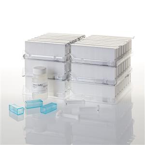 AS1010 | Maxwell 16 Blood DNA Purification Kit