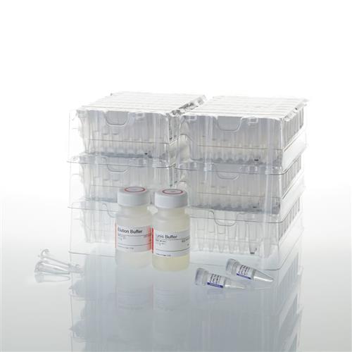 AS1290 | Maxwell 16 LEV Blood DNA Kit