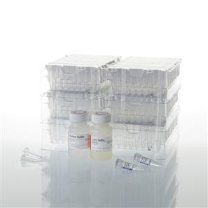 AS1290 | Maxwell 16 LEV Blood DNA Kit
