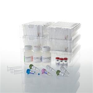 AS1360 | Maxwell CSC RNA FFPE Kit