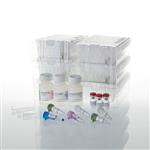 AS1360 | Maxwell(R) CSC RNA FFPE Kit