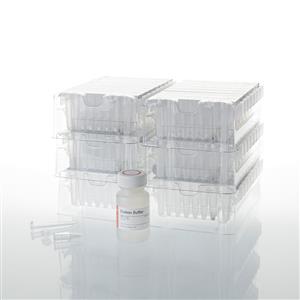AS1370 | Maxwell RSC Cell DNA Purification Kit