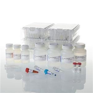 AS1380 | Maxwell RSC simplyRNA Blood Kit