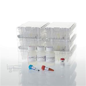AS1390 | Maxwell RSC simplyRNA Cells Kit