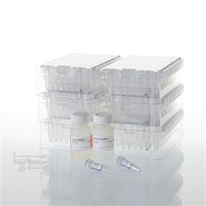 AS1400 | Maxwell RSC Blood DNA Kit