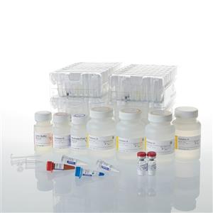 AS1410 | Maxwell(R) CSC RNA Blood Kit