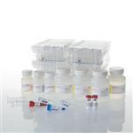 AS1410 | Maxwell(R) CSC RNA Blood Kit