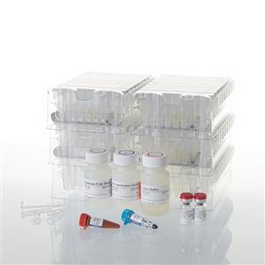 AS1500 | Maxwell RSC Plant RNA Kit