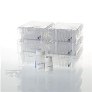 AS1610 | Maxwell RSC Tissue DNA Kit