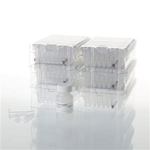 AS1620 | Maxwell RSC Cultured Cells DNA Kit