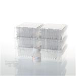 AS1630 | Maxwell RSC Stabilized Saliva DNA Kit