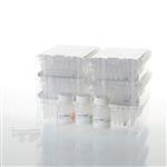 AS1660 | Maxwell RSC Purefood Pathogen Kit