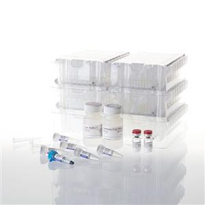 AS1680 | Maxwell(R) RSC miRNA Plasma and Serum Kit