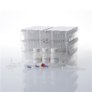 AS1880 | Maxwell(R) RSC Genomic DNA Kit
