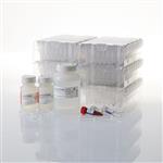 AS1890 | Maxwell(R) RSC Pathogen Total Nucleic Acid Kit