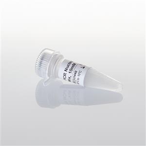 C1145 | PCR Nucleotide Mix