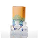 E1200 | ProFection(R) Mammalian Transfection Sys.-Calcium Phosphate