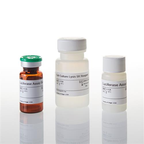 E1500 | Luciferase Assay System