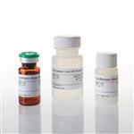 E1500 | Luciferase Assay System