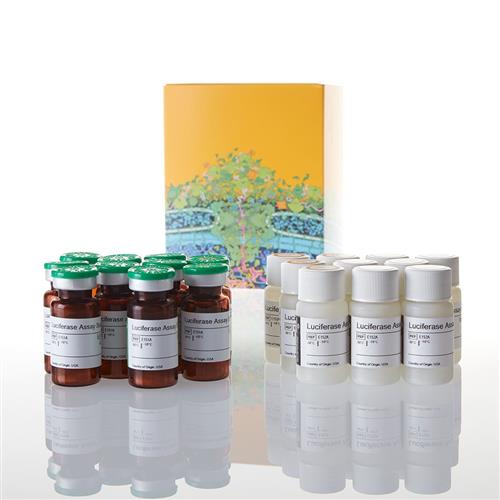 E1501 | Luciferase Assay System