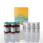 E1501 | Luciferase Assay System